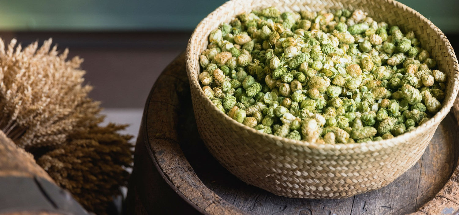 DE: hopfen dolden malz bier brauerei FR: houblon malt biere ingredients brasserie IT: luppolo malto birra ingredienti birrificio