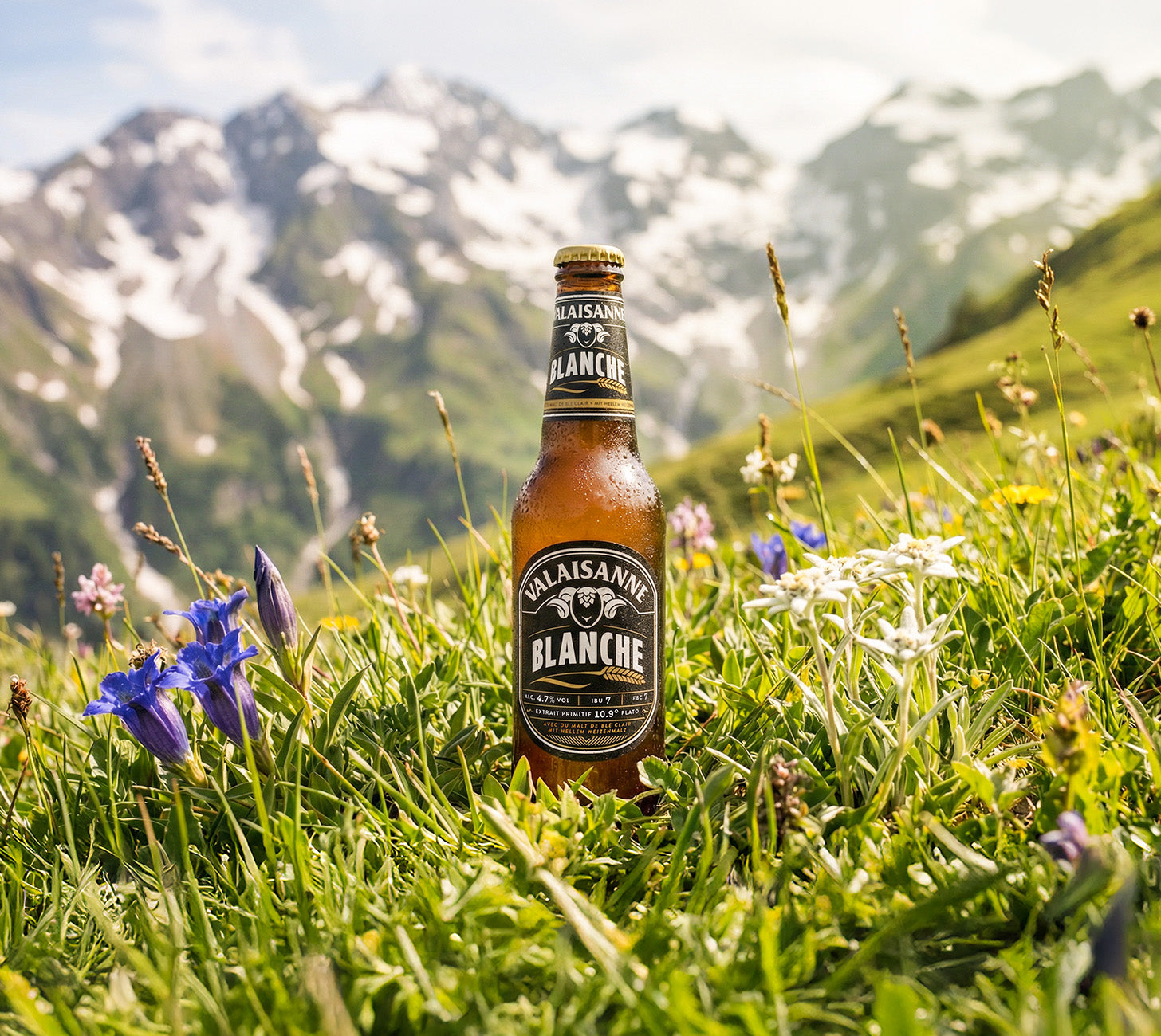 DE: Valaisanne Blanche Moodbild – frisches Walliser Weizenbier in alpiner Natur, hell und zitrusfruchtig.
FR: Valaisanne Blanche mood – bière blanche du Valais en plein paysage alpin, fraîche et vive.
IT: Valaisanne Blanche mood – birra bianca vallesana in ambiente alpino, fresca e fruttata.