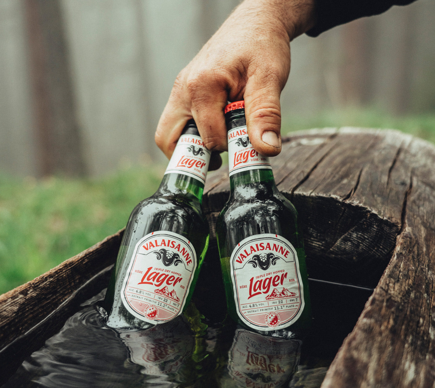 DE:Valaisanne Lager Moodbild – zwei 33cl Flaschen werden aus einem Kühlbecken mit Wasser gezogen, natürliche Outdoor-Szene.
Keywords: valaisanne lager, moodbild, feldschloesschen-getraenkeshop
FR:Valaisanne Lager image d’ambiance – deux bouteilles 33cl sorties d’un bac rempli d’eau froide, scène extérieure naturelle.
Keywords: valaisanne lager, image ambiance, feldschloesschen-getraenkeshop
IT:Valaisanne Lager immagine mood – due bottiglie da 33cl sollevate da una vasca con acqua fredda, scena natur