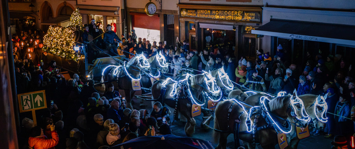 Festlich geschmückte Pferdekutsche mit leuchtenden Pferden zieht durch eine weihnachtlich beleuchtete Altstadt, umgeben von vielen Zuschauern.