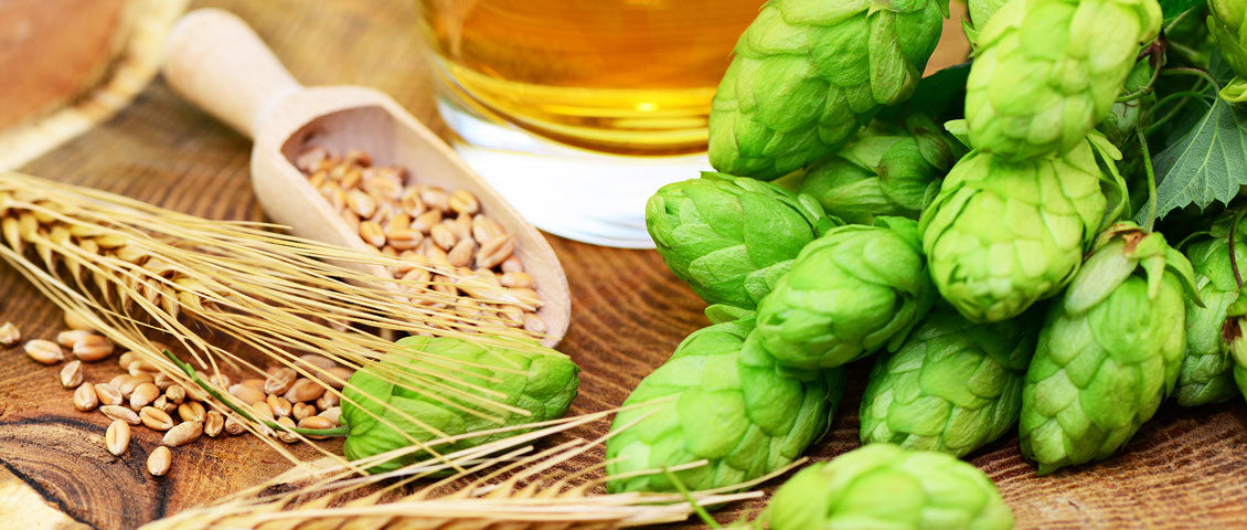Was steckt im Bier